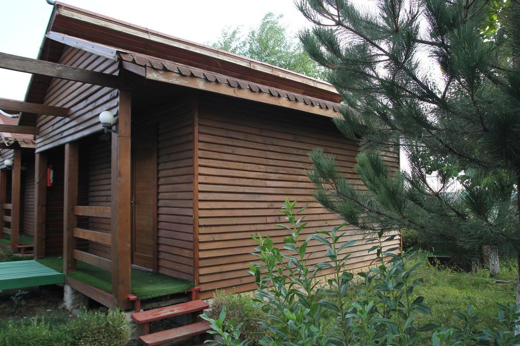 Hotel Doi Taurasi Afumati Exterior photo